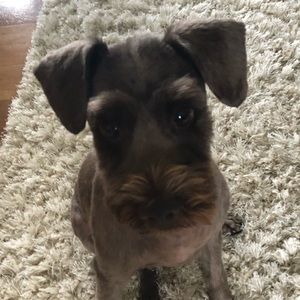 Meet your Posher, Maci